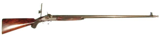Ingram rifle